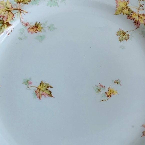 HAVILAND Co LIMOGES France Autumn Leaf Pattern Dinner Plate Thanksgiving Plate - Picture 5 of 6